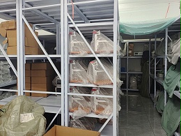 生产环境（四）